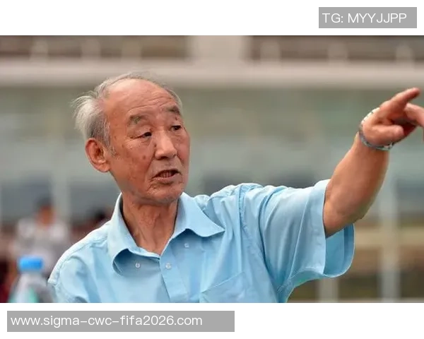 足球大师费迪南德的传奇生涯与对现代足球的深远影响分析